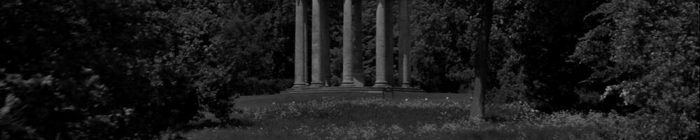 Chapter VIII